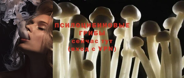 ALPHA PVP Алексеевка