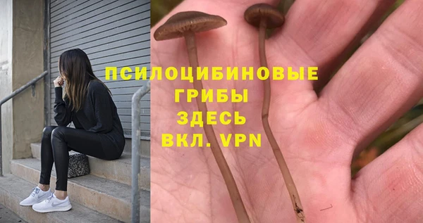 соль курить ск Алексин
